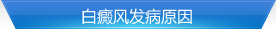 緢ԭ